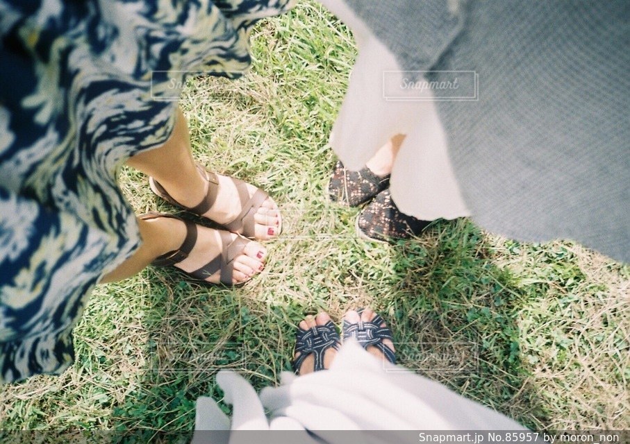 草の写真・画像素材