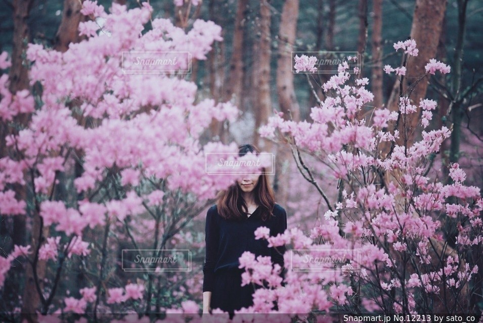 花 - No.12213