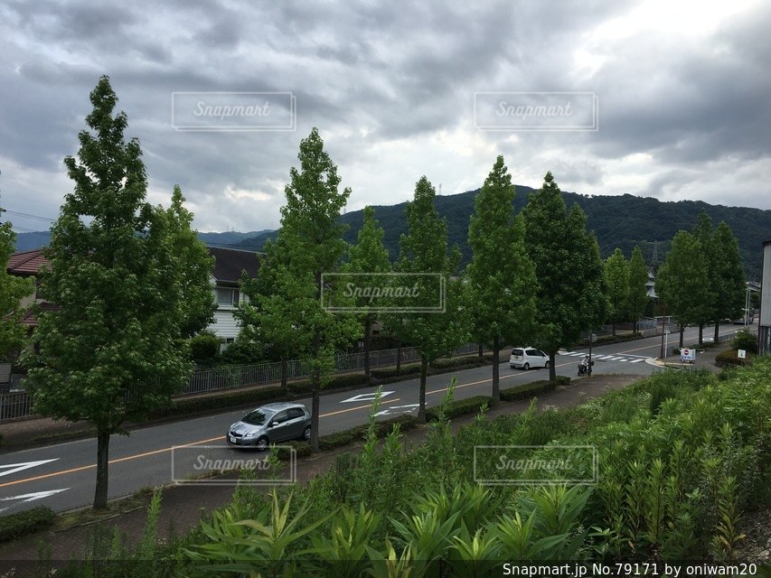 No.79171 風景