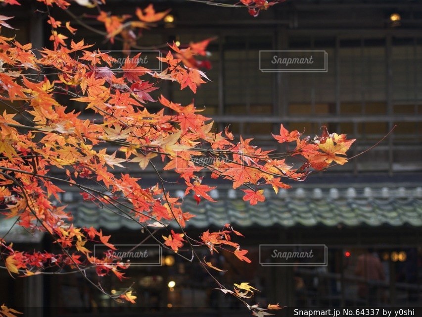 工場の写真・画像素材