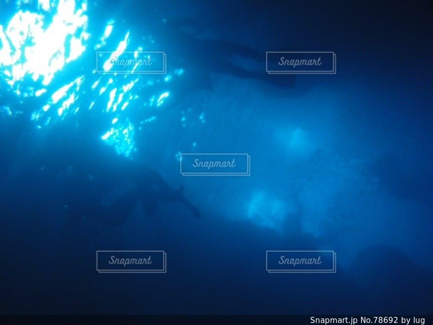 No.78692 海