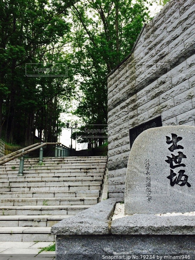No.79234 自然
