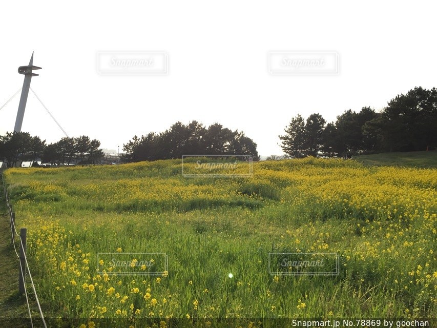 No.78869 公園