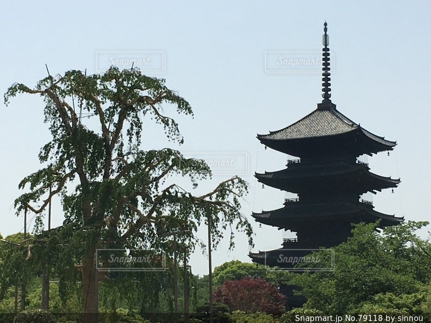 No.79118 風景