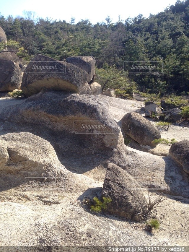 No.79177 風景