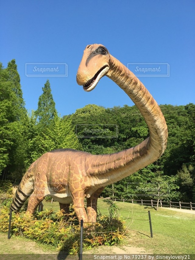 No.79237