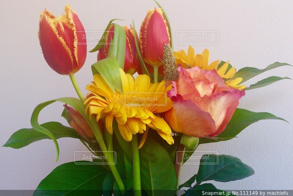 花の写真・画像素材