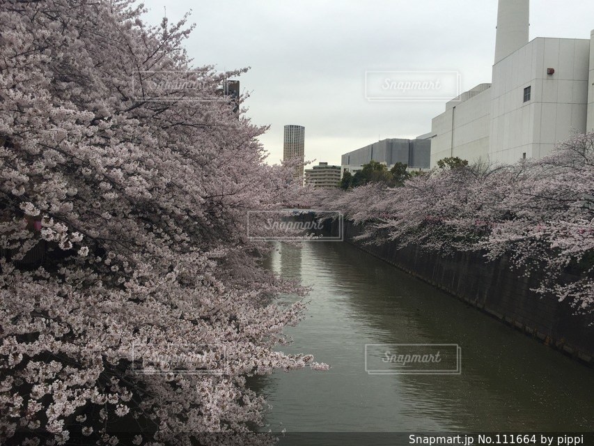 風景 - No.111664