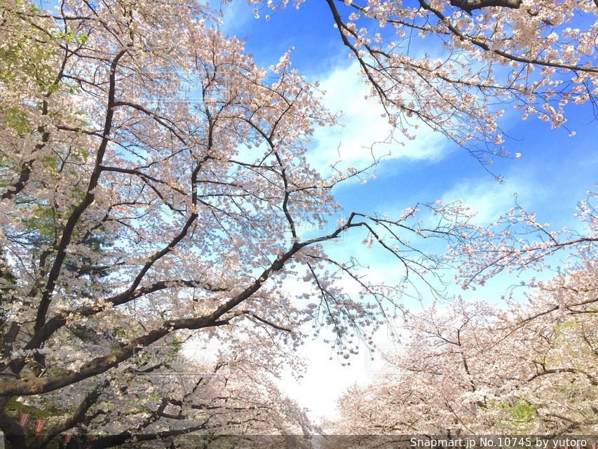 風景の写真・画像素材[10745]