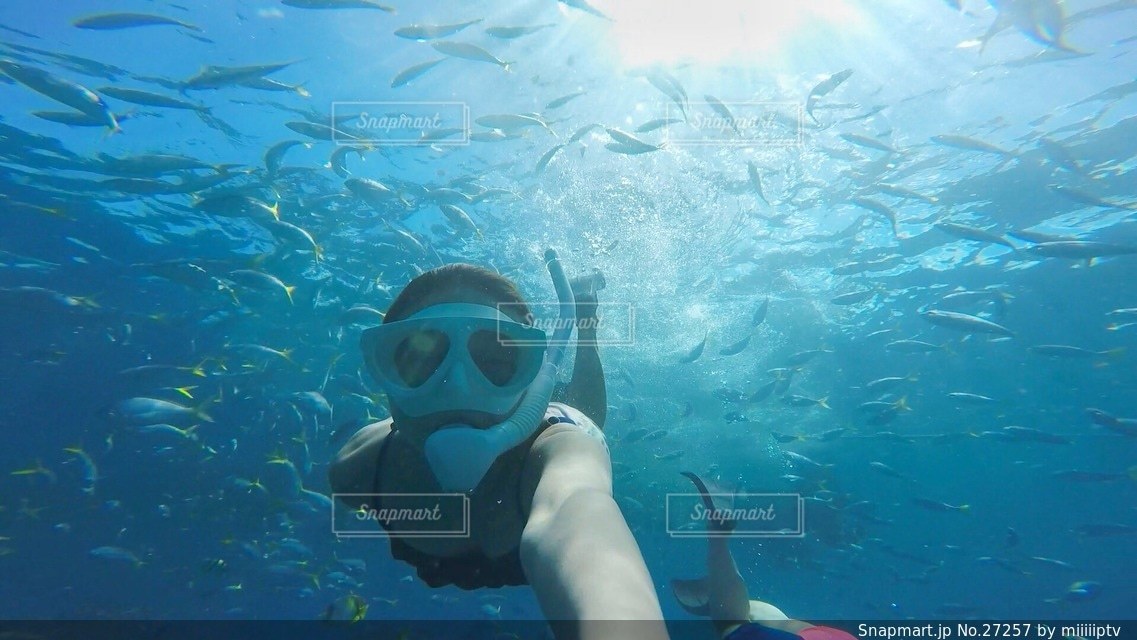 海の写真・画像素材[27257]