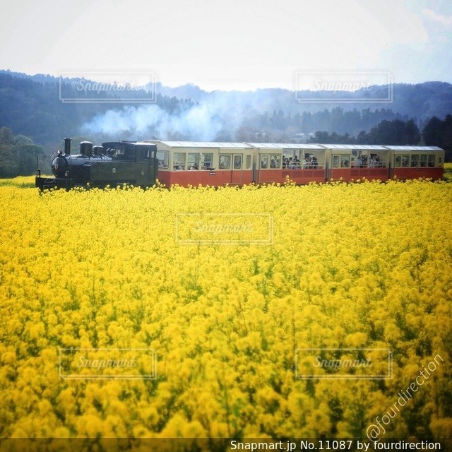 乗り物の写真・画像素材