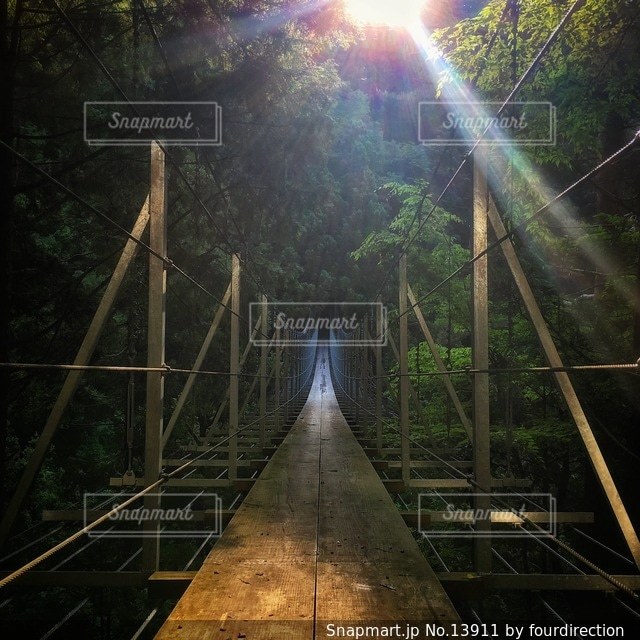 自然の写真・画像素材