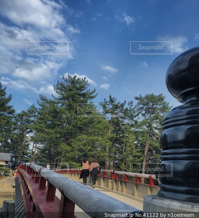 女性の写真・画像素材