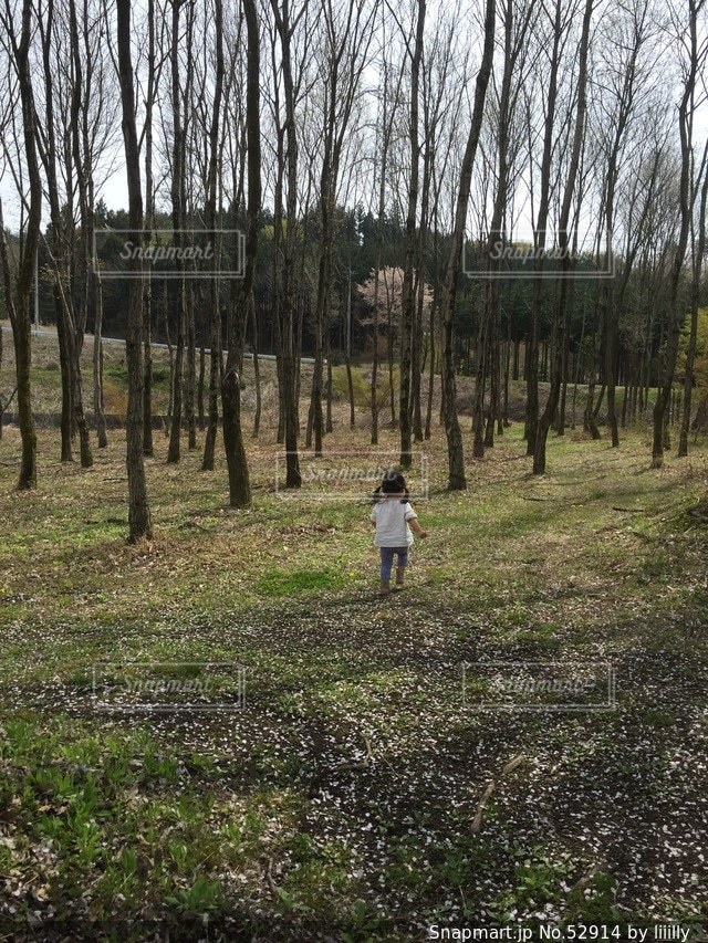 子どもの写真・画像素材